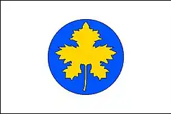 Bandeira de Boršice