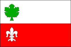Bandeira de Bordovice