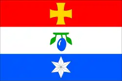 Bandeira de Borotín