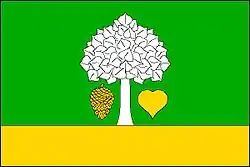 Bandeira de Borová