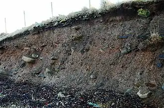 Corte na camada superficialde um lameiro.