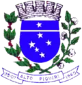 Brasão de armas de Alto Piquiri