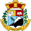 Brasão de armas de Caratinga