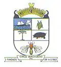 Brasão de armas de Cruz Machado