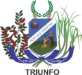Brasão de armas de Triunfo