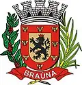 Brasão de armas de Braúna