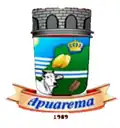 Brasão de armas de Apuarema