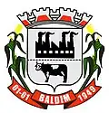 Brasão de armas de Baldim