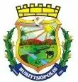 Brasão de armas de Buritinópolis