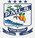 Brasão de armas de Lagoa Salgada