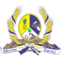 Brasão de armas de Monte Santo do Tocantins