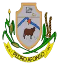 Brasão de armas de Pedro Afonso