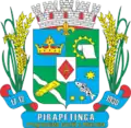 Brasão de armas de Pirapetinga