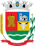 Brasão de armas de Rio Novo