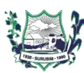 Brasão de armas de Surubim