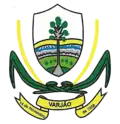 Brasão de armas de Varjão