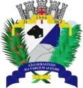 Brasão de armas de São Sebastião da Vargem Alegre