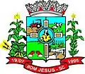 Brasão de armas de Bom Jesus