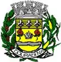 Brasão de armas de Douradina