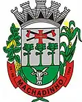 Brasão de armas de Machadinho