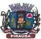 Brasão de armas de Piraúba