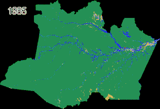 File:Brazil - Amazonas land use change 1985-2024 - MapBiomas.gif