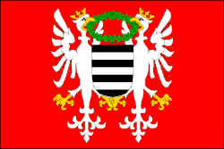 Bandeira de Březnice