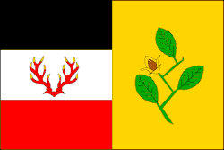 Bandeira de Bučí