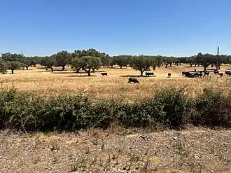 Paisagem campestre da Freguesia