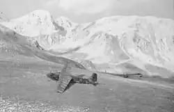 ...liderada por Otto Skorzeny...