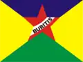 Bandeira de Buritis