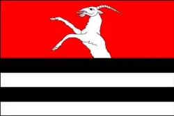 Bandeira de Bystřice pod Hostýnem