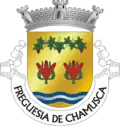 Brasão de armas de Chamusca