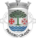 Brasão de armas de Pinheiro Grande