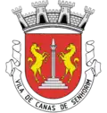 Brasão de armas de Canas de Senhorim