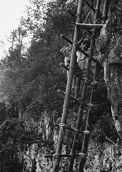 Uma escada usada para fins cerimoniais na Indonésia