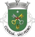 Brasão de armas de São Pedro