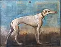 Greyhound, pintado para Villa Tiepolo, Zianigo, agora em Ca 'Rezzonico, Veneza