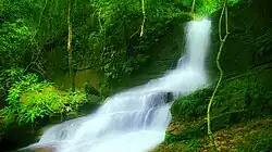 Cachoeira do Camorim