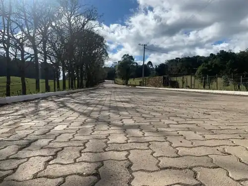 Ipês costeiam a estrada para linha Garibaldi