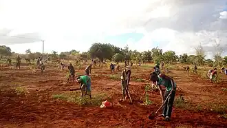 File:Caltivating Land.jpg