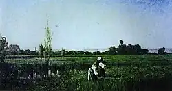 Campina Romana António Vaz