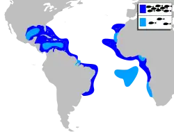 Distribuição geográfica do jaguareçá.