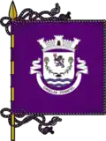 Bandeira de Canelas