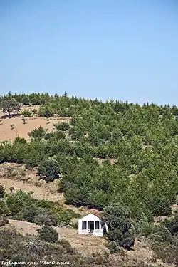 Capela de Santa Eufémia, próximo de Sendim da Serra