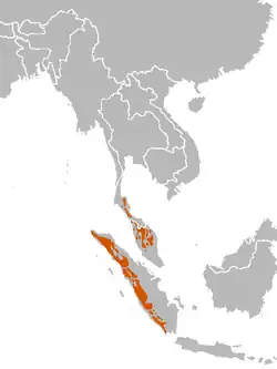 Distribuição territorial do serau-de-sumatra