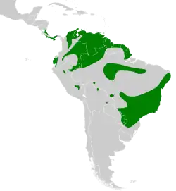 Distribuição geográfica da marianinha-amarela.