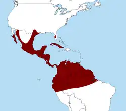 Distribuição de Caracara cheriway
