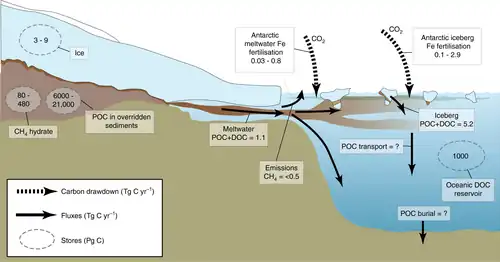 Carbon stores and fluxes in present day ice sheets.webp