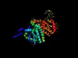 Subunidade carboxil transferase da acetil-CoA carboxilase de E. coli.